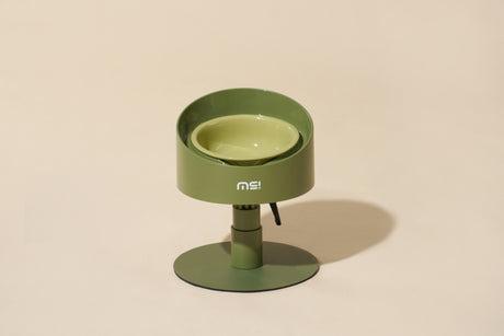 Achten Sie auf einen ergonomischen Katzennapf