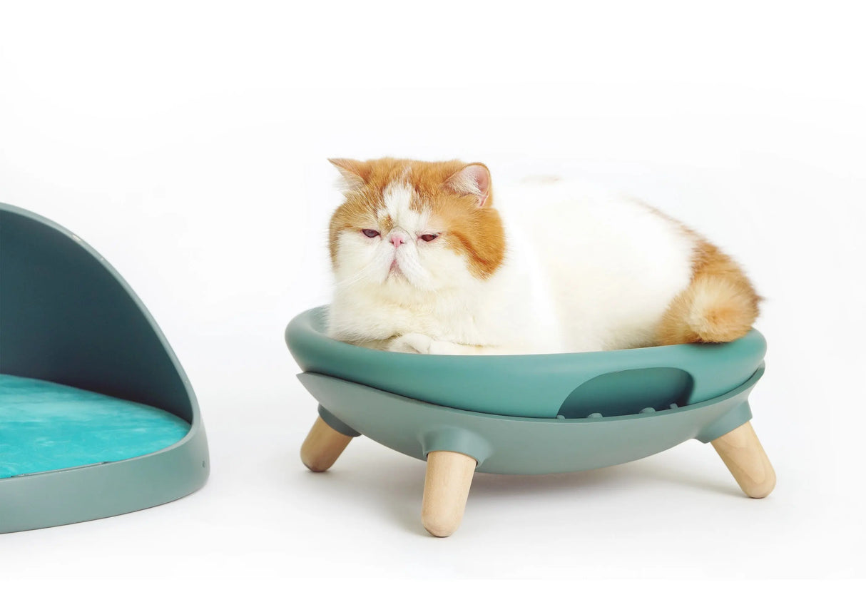 Kattenmand - 4 in 1 ontwerp - schommel -  one size fits all - kattenbed - SpirePets