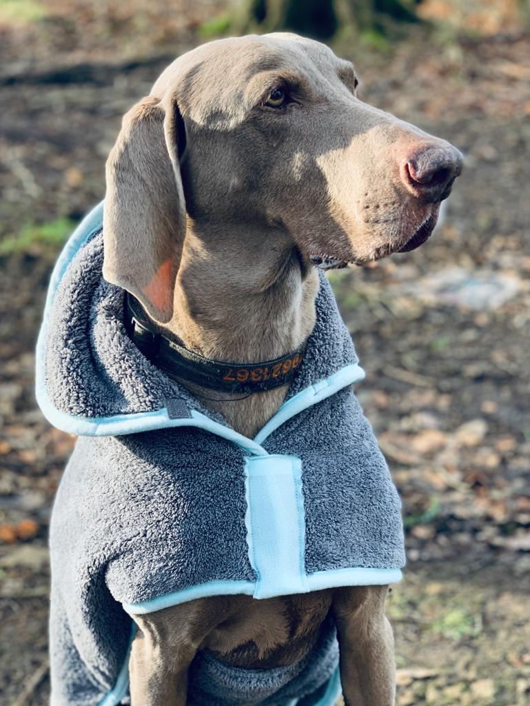 Henry Wag Mikrofaser-Hundebademantel – Trockenjacke für Hunde – Größe XL