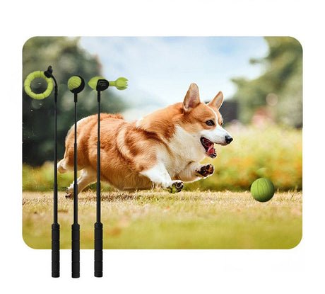 Werpstok voor honden - ballenwerper - hondenspeelgoed - SpirePets