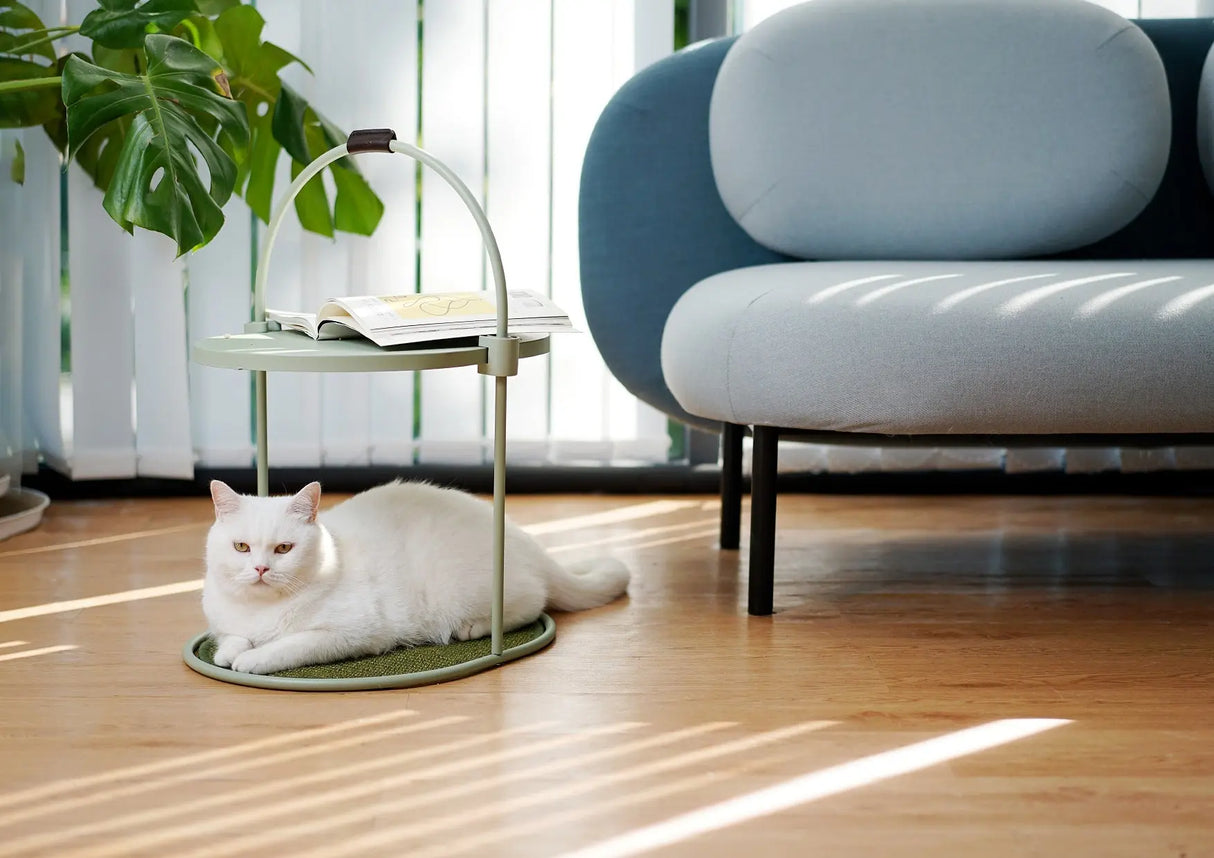 Katten krabmeubel - multifunctioneel - one size fits all - krabplank - groen - SpirePets