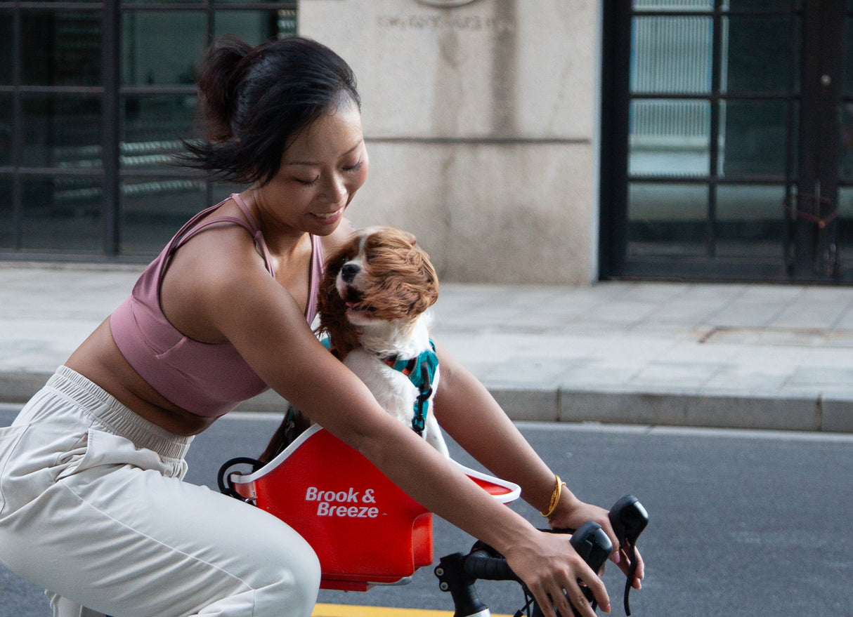 Brook & Breeze Canine Copilot - fietsstoeltje voor hond of kat - SpirePets
