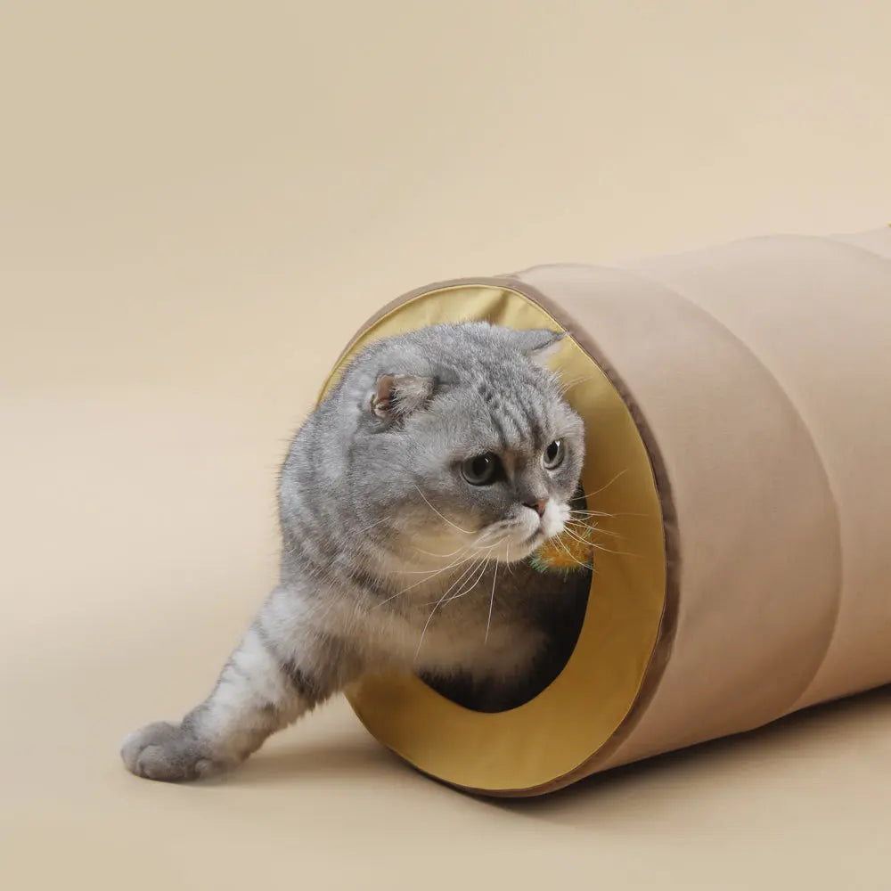 Kattenspeelgoed - multi-gaten kattentunnel - opvouwbaar - geschikt voor katten < 10 kg - SpirePets