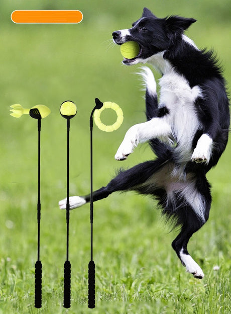 Werpstok voor honden - ballenwerper - hondenspeelgoed - SpirePets