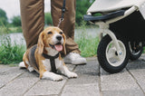 AirBuggy Dome 3 Regular - Earth Grey - hondenbuggy