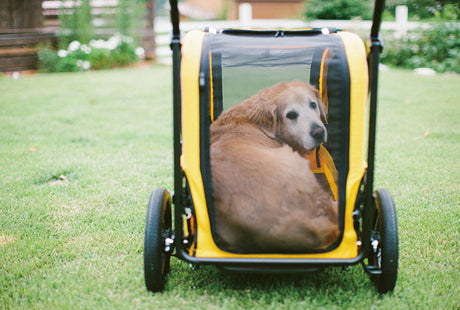 AirBuggy Carriage Set Seed Beige - Luxe Hondenbuggy tot 55kg - SpirePets