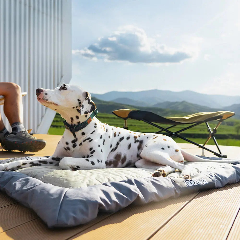 Honden campingbed - waterdicht - buiten gebruik - oprolbaar - donkerblauw - maat L - SpirePets