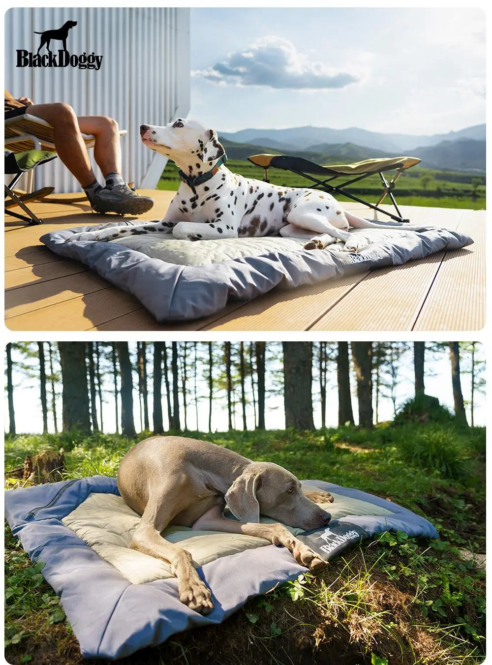 Honden campingbed - waterdicht - buiten gebruik - oprolbaar - donkerblauw - maat L - SpirePets