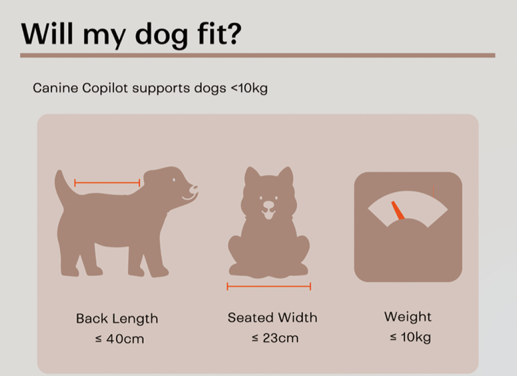 Brook & Breeze Canine Copilot - Crème Beige - SpirePets