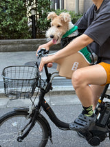 Brook & Breeze Canine Copilot - Crème Beige - SpirePets