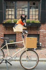 Brook & Breeze Canine Copilot - Crème Beige - SpirePets