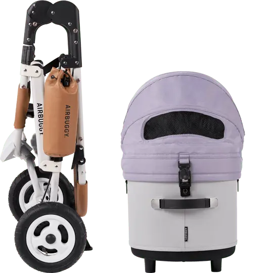 AIRBUGGY DOME3 SET LARGE – Violet Stone