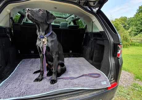Henry Wag Microvezel Noodle Huisdier Mat - XL droogmat hond - SpirePets