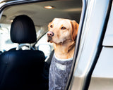 Henry Wag honden droogzak - microvezel - Maat L