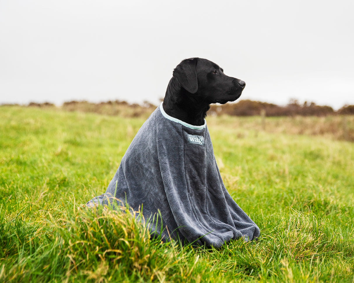 Henry Wag honden droogzak - microvezel - Maat L