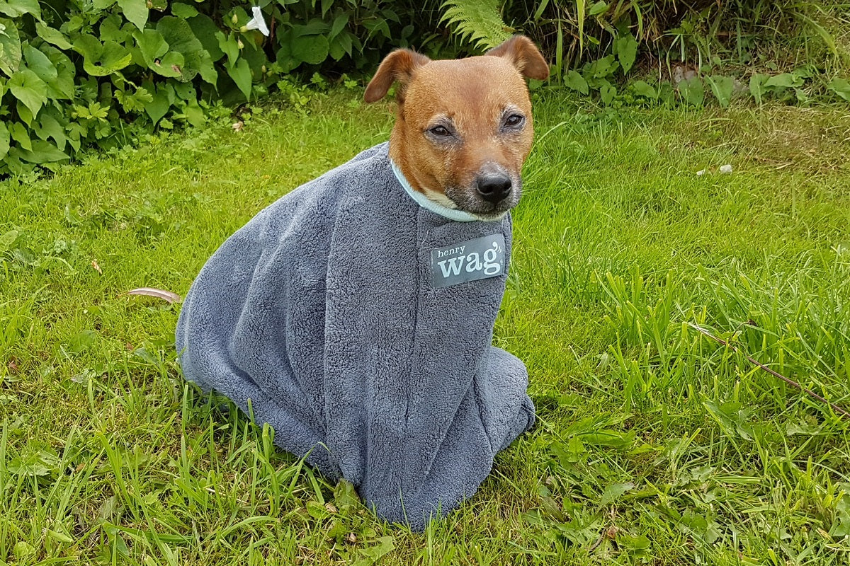 Henry Wag honden droogzak - microvezel - Maat S