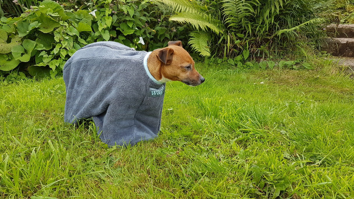 Henry Wag honden droogzak - microvezel - Maat S