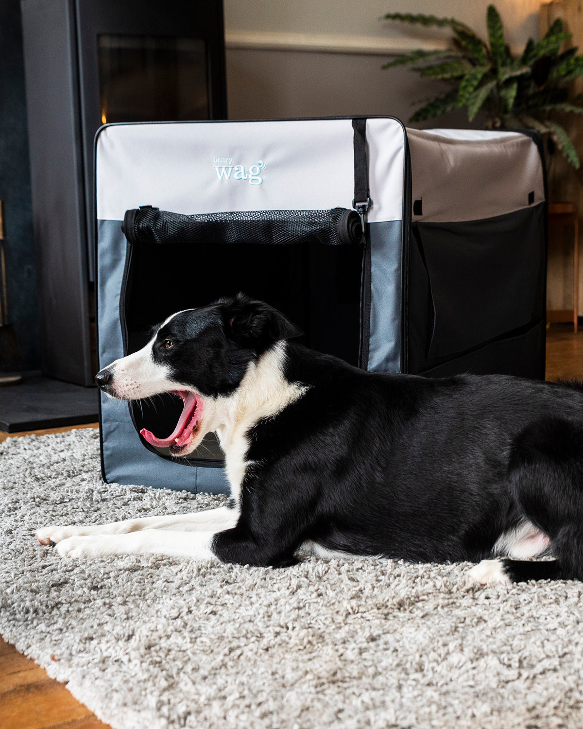 Henry Wag Opvouwbare Bench Hond - Reisbench L - SpirePets