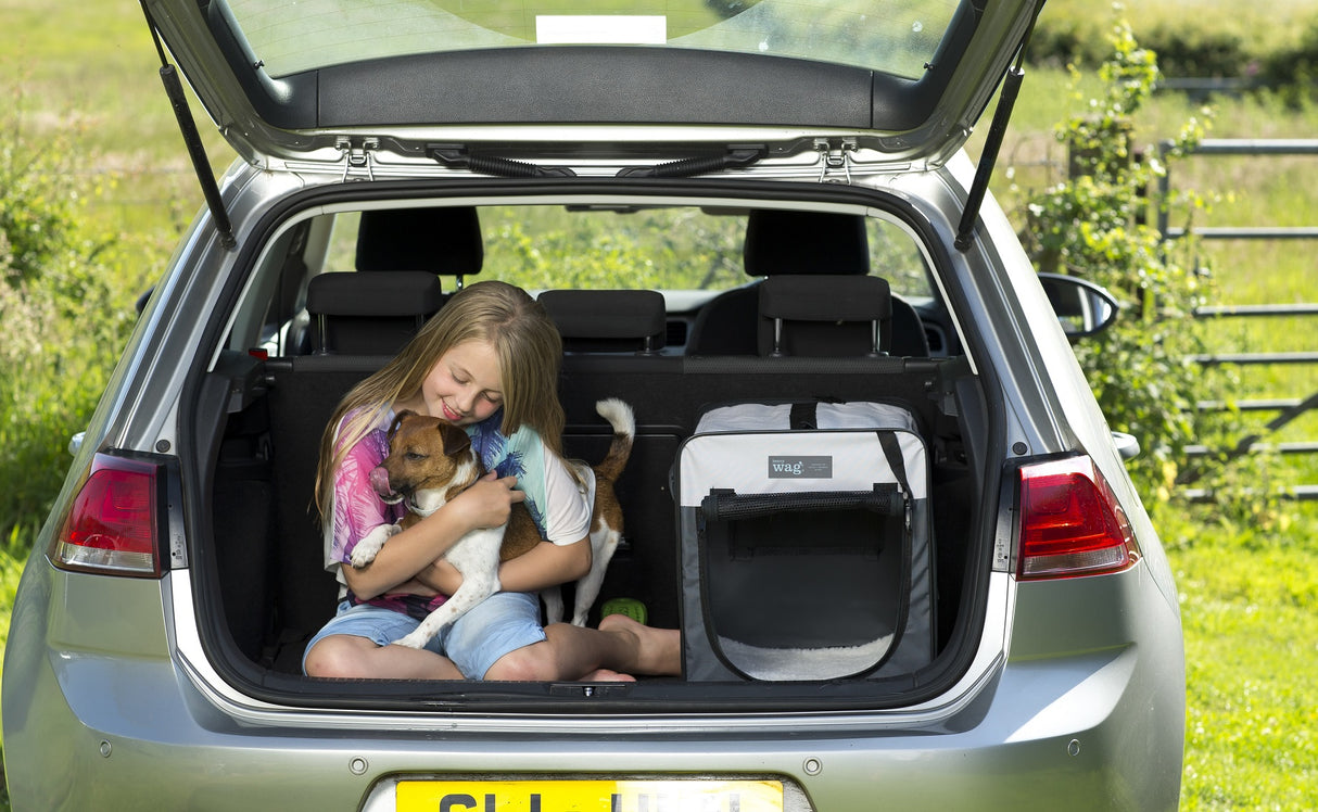 Henry Wag Opvouwbare Bench Hond - Reisbench M - SpirePets