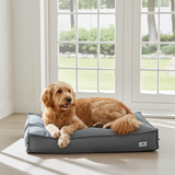 Joey Hundekissen – inklusive Decke – Größe L