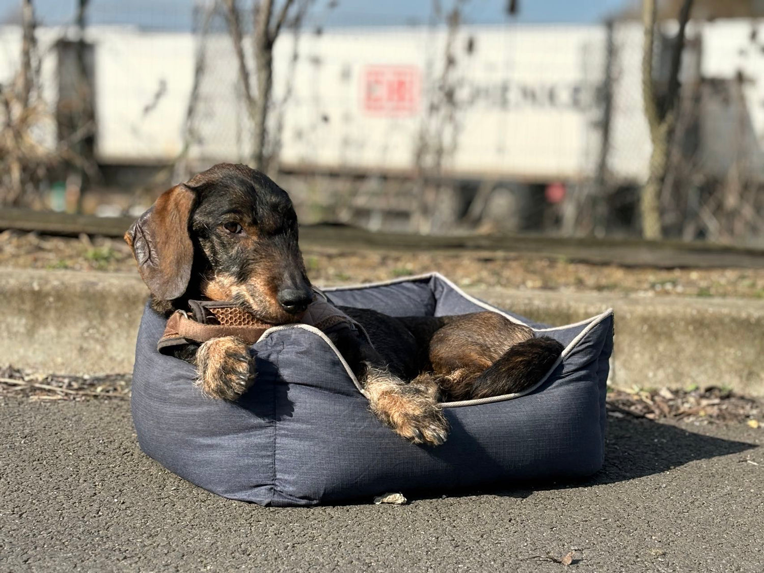 Bora Hundekorb - Haustierbett Größe S