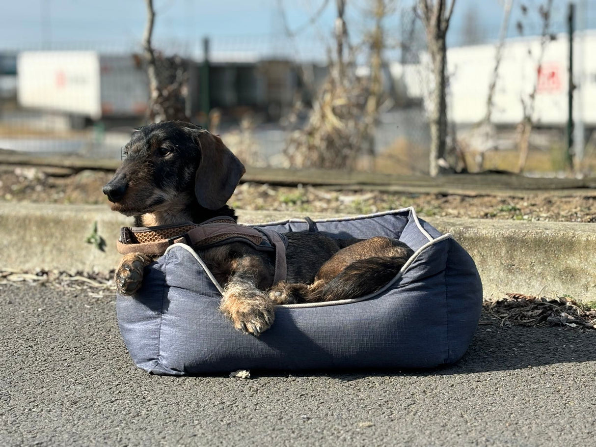 Bora Hundekorb - Haustierbett Größe S