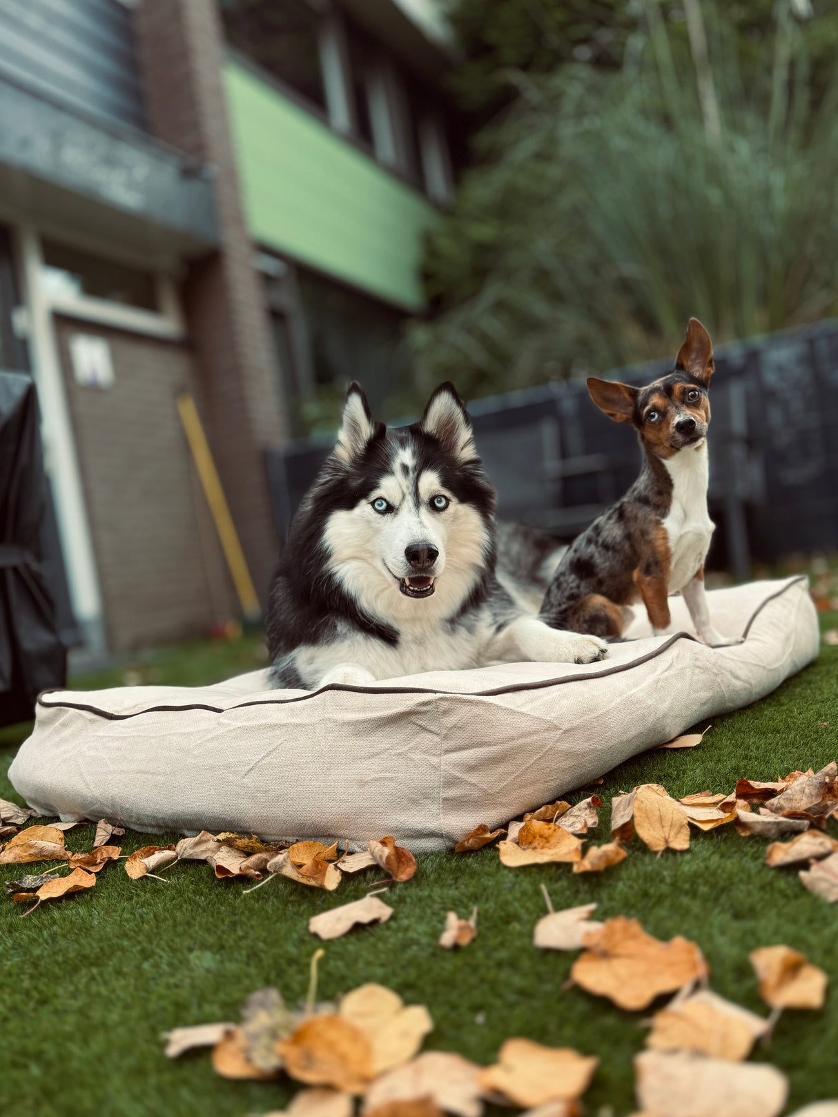 Rudy Hundekissen – Beige & Braun – Rutschfest