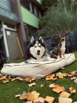 Rudy Hundekissen – Beige & Braun – Rutschfest