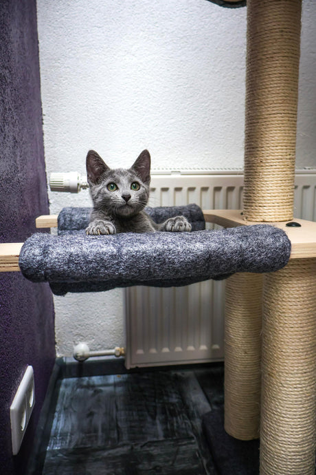 Katten krabpaal Candy - klimboom - grijs - SpirePets