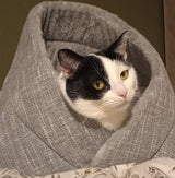 Momo Katzenbett - Katzenkorb