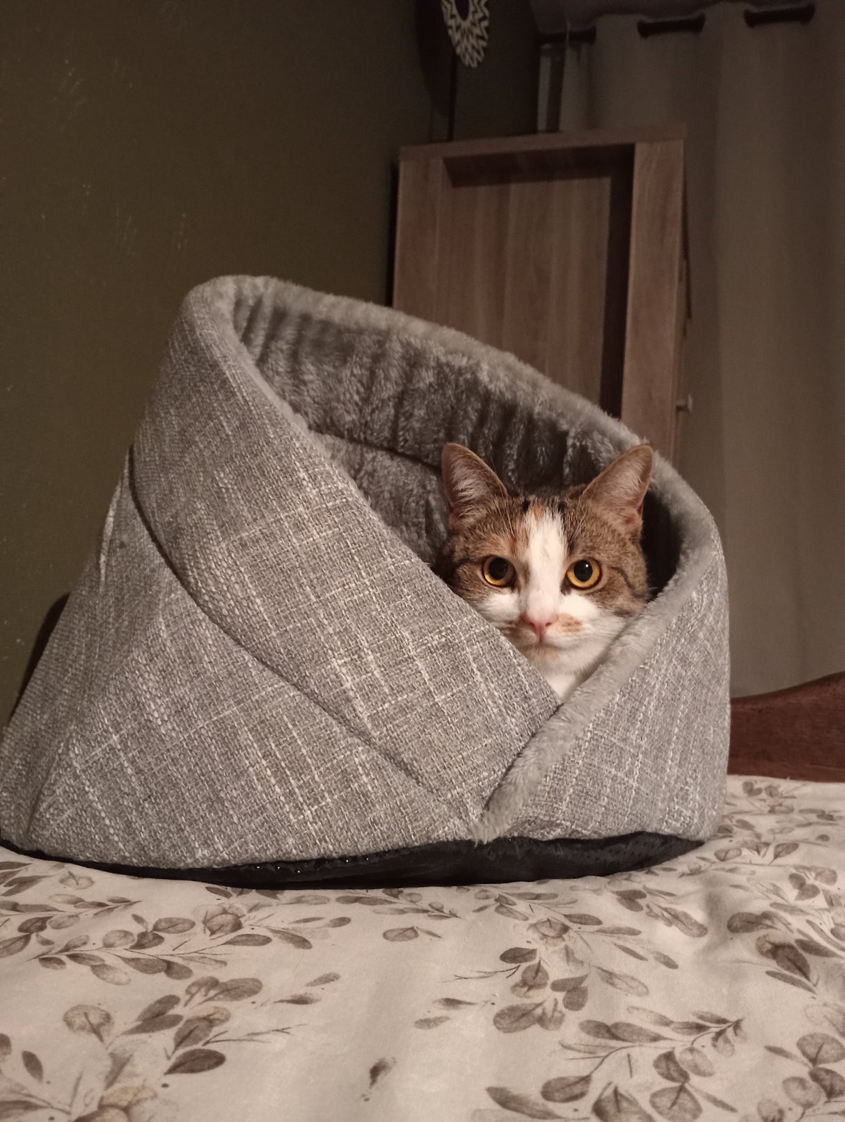 Momo Katzenbett - Katzenkorb