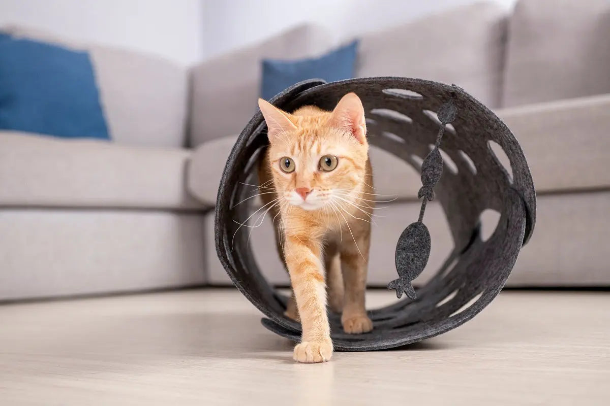 Kattentunnel - kattendriehoek van vilt - speelgoed voor katten - SpirePets