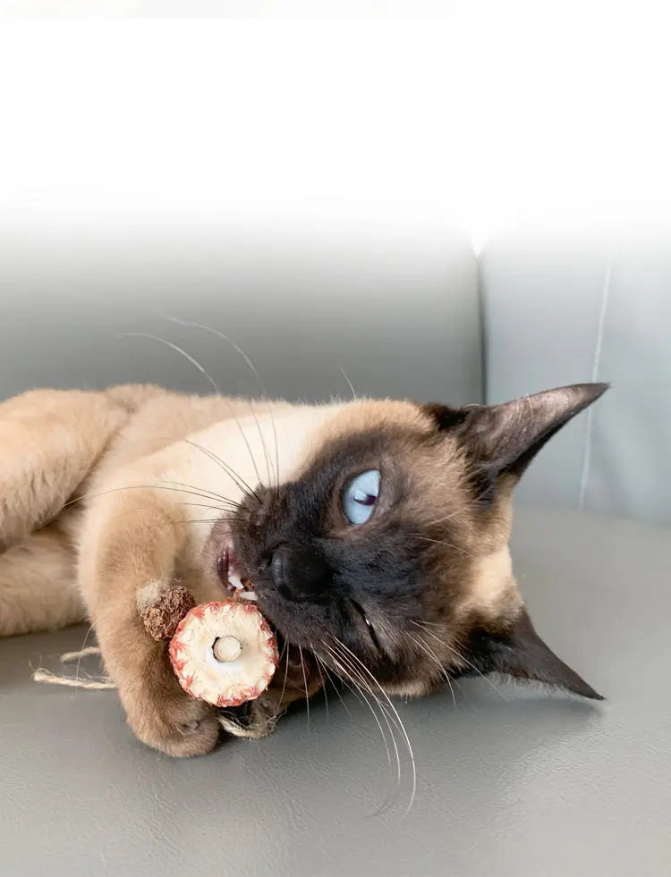 Kattenspeelgoed van duurzame materialen - kattenspeeltje met kattenkruid - SpirePets