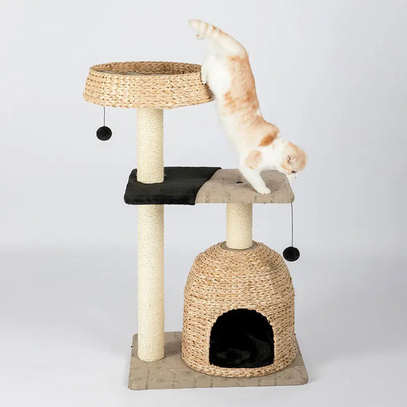 Kattenboom - krabpaal - kattenhuis - kattenmand met speeltje - SpirePets