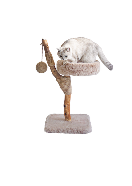 LUNA Kratzbaum aus massivem Obstholz