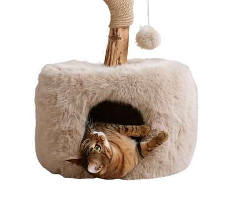 ISLA krabpaal met kattenhuis en kattenmand - SpirePets