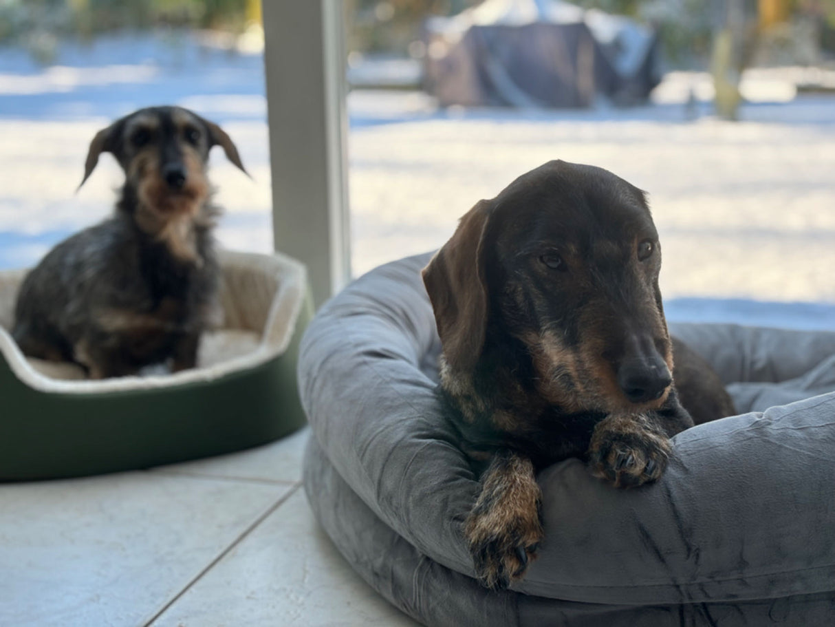 Hundesofa Tomas - Hundesofa