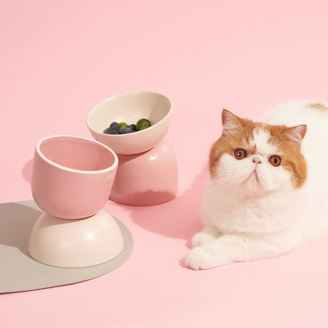 Verhoogde kattenvoerbak - keramische voerbak kat - roze - SpirePets