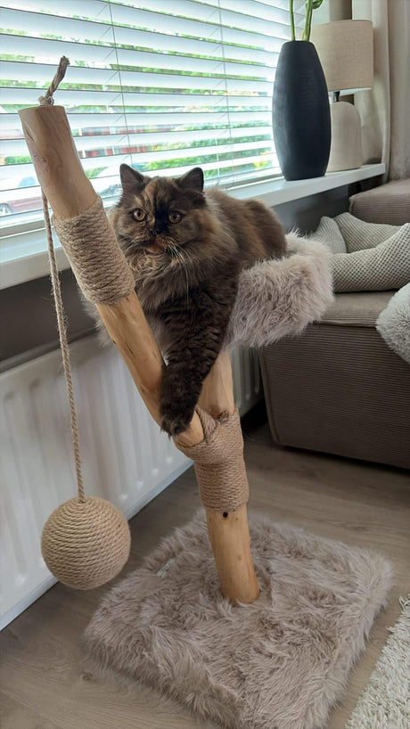 LUNA Kratzbaum aus massivem Obstholz