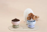 Kattenvoerbak -  keramiek - brede komopening - one size fits all - verhoogd ontwerp - groen en roze - SpirePets