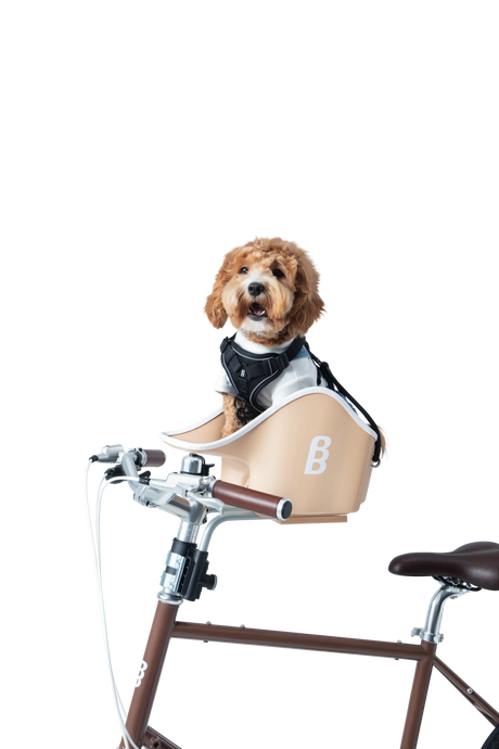 Brook & Breeze Canine Copilot - Crème Beige - SpirePets