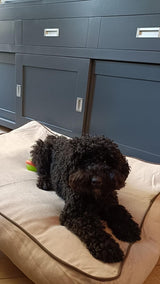 Rudy Hundekissen – Beige & Braun – Rutschfest