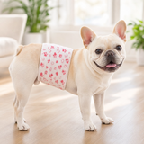 Hondenluiers voor Teefje – Super absorberend en comfortabel - 10 stuks