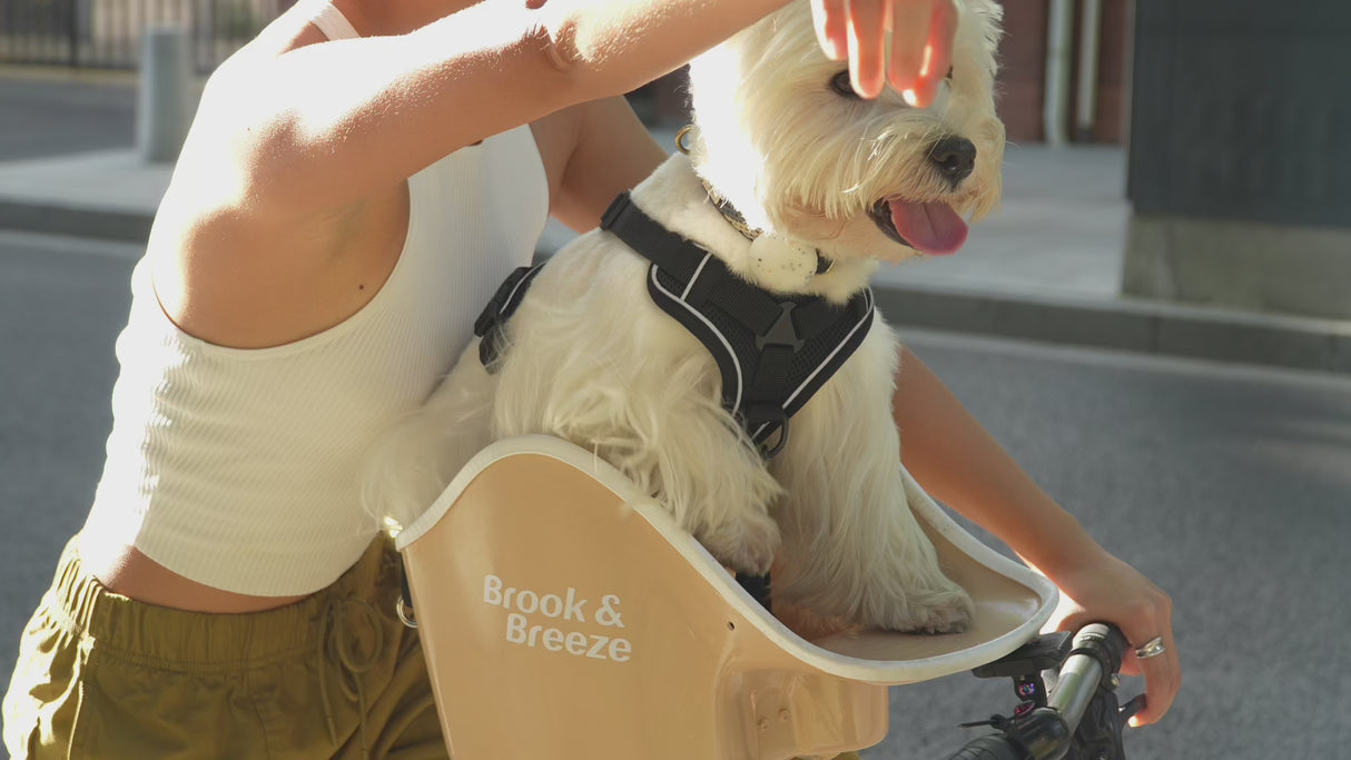 Brook & Breeze Hunde-Copilot – Bernstein-Hellorange