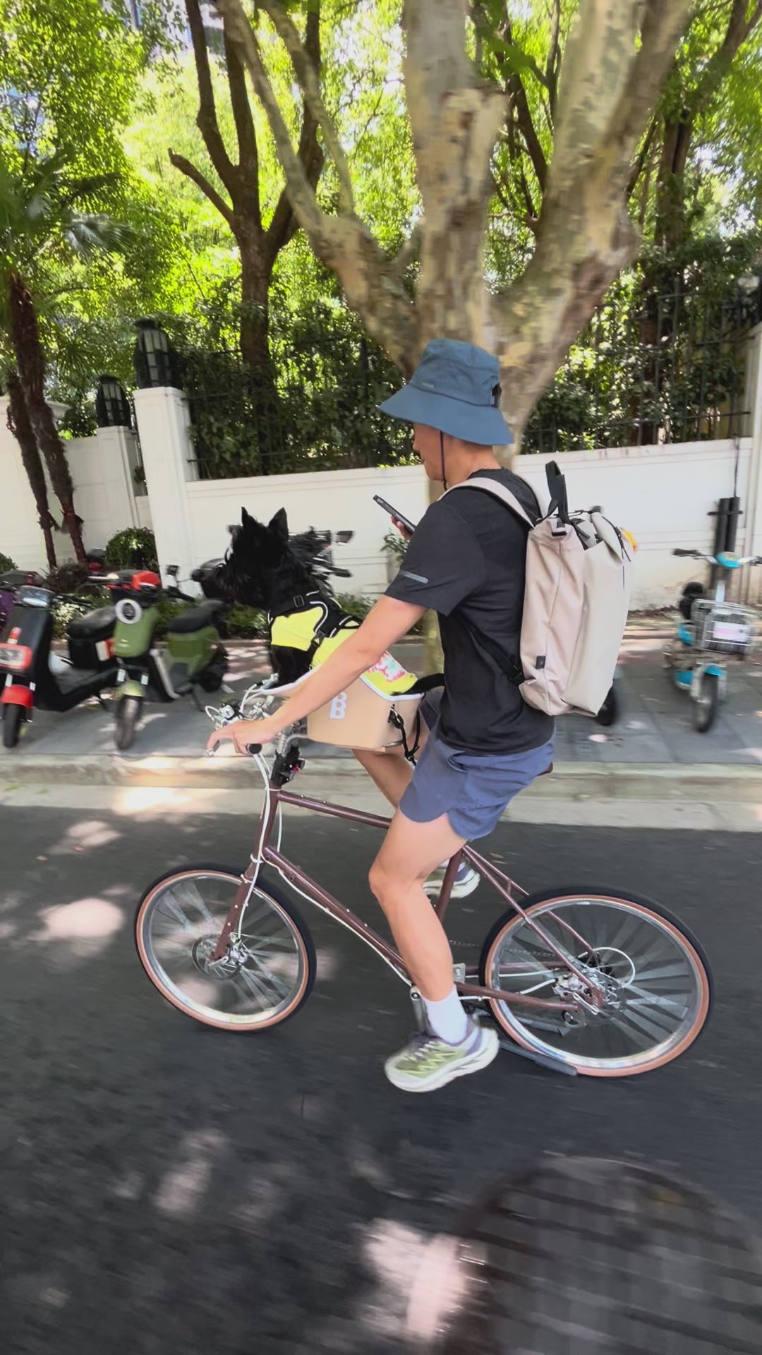 Brook & Breeze Hunde-Copilot – Creme Beige