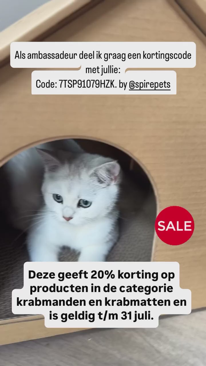 Katzenhaus aus Pappe – Spielhaus für Katzen inklusive Kratzbaum