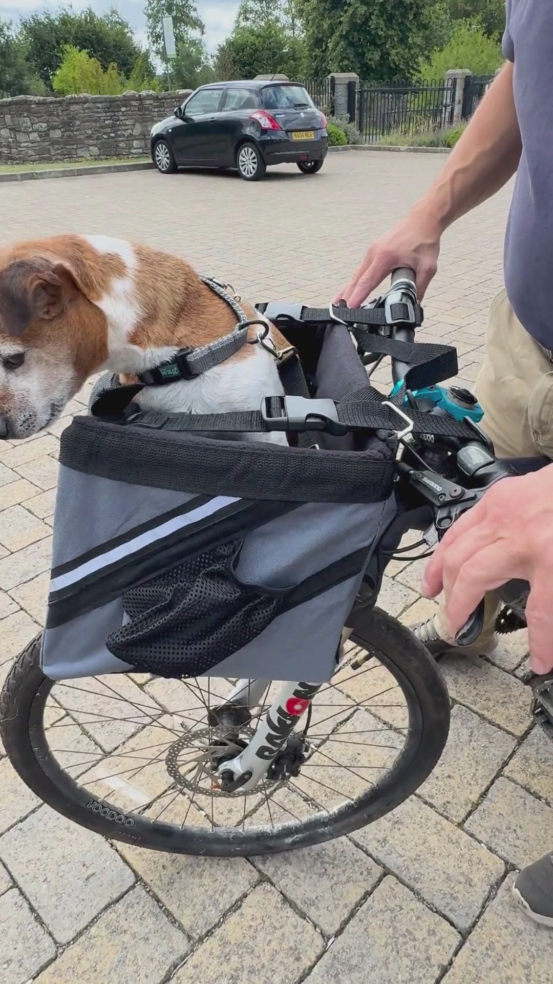 Henry Wag Fahrradtasche für Hunde und Katzen