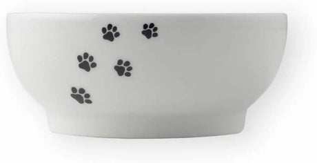 water of food bowl for cat or dog