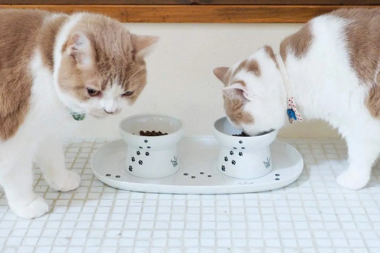 Necoichi dienblad inclusief twee voerbakjes voor katten - Katten voerbakjes met dienblad van porselein - SpirePets